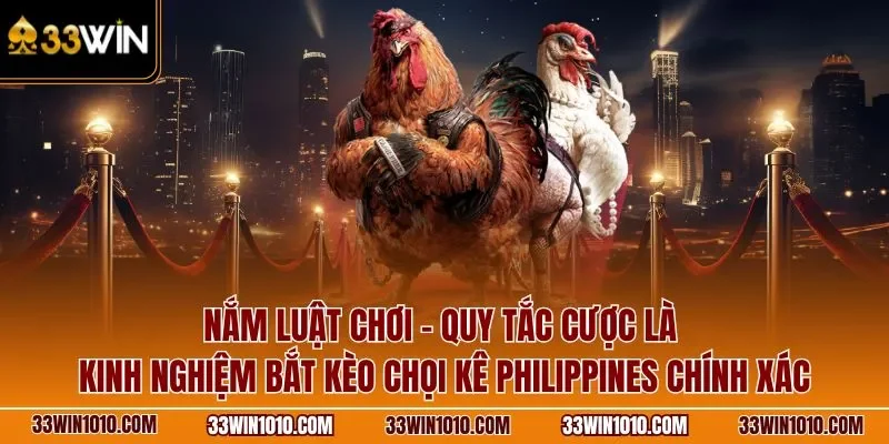 Quy tắc cược là kinh nghiệm bắt kèo đá gà Philippines chính xác