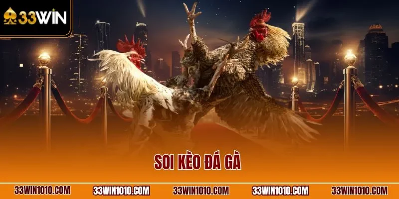 Soi kèo đá gà