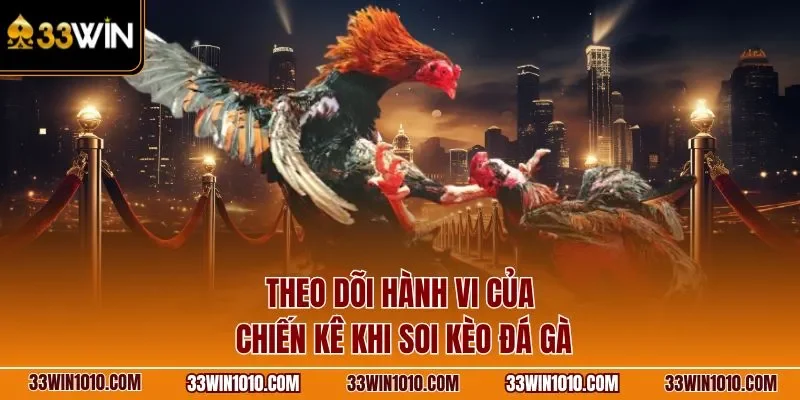 Theo dõi hành vi của chiến kê khi soi kèo đá gà