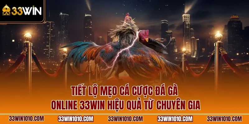 Tiết lộ mẹo cá cược đá gà 33WIN hiệu quả từ chuyên gia