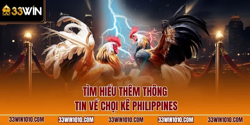 Tìm hiểu thêm thông tin về chọi kê Philippines