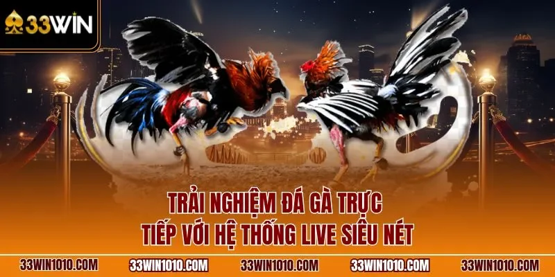 Trải nghiệm đá gà trực tiếp với hệ thống live siêu nét